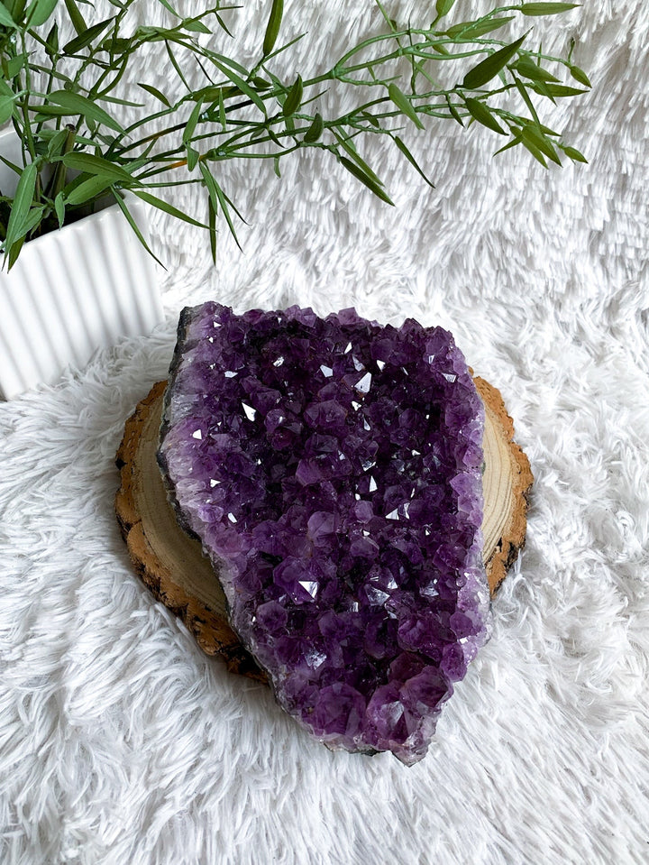 Amethyst Drusenstück 1,77 KG