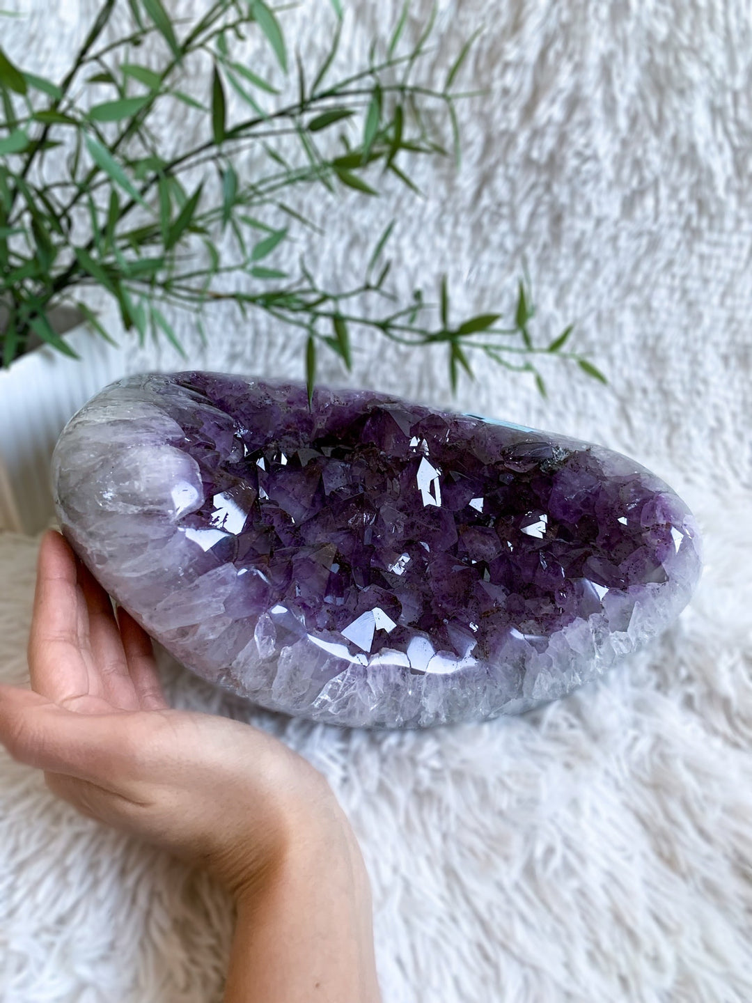 Amethyst Drusenstück 7,3 Kg